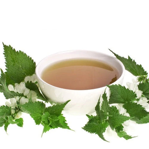 Wie-entschlackt-und-entgiftet-man-richtig SonnenMoor