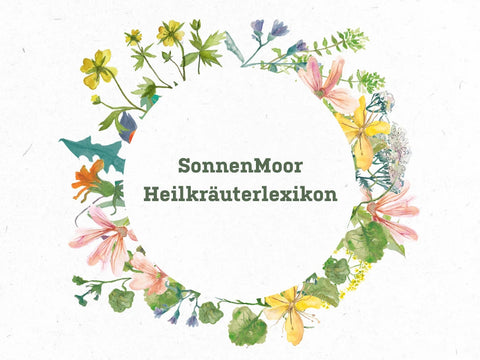 Heilkräuterlexikon SonnenMoor