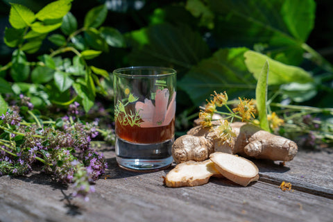 Immunsystem mit natürlichen Kräutern stärken - SonnenMoor