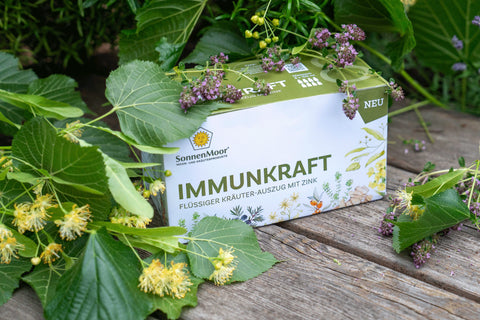 Immunsystem mit natürlichen Kräutern stärken SonnenMoor
