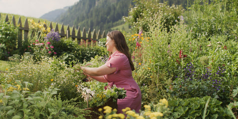 Zweiter SonnenMoor Kräutergarten Award 2026 SonnenMoor