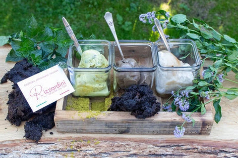 Exklusive SonnenMoor Eiskreationen von Gelateria Rizzardini - SonnenMoor