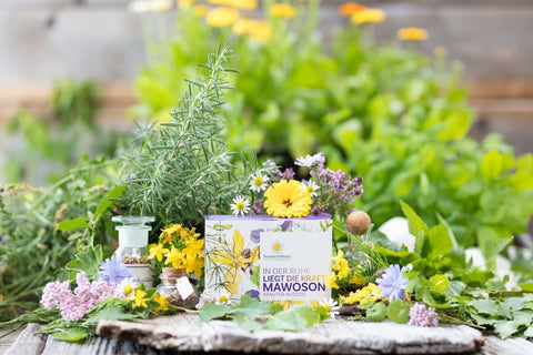 Alle-SonnenMoor-Produkte-von-A-Z-im-Überblick 