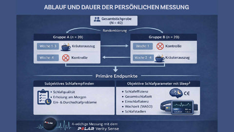 Ablauf einer Schlafstudie