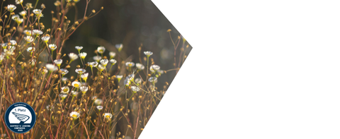 Banner -15% Rabatt Aktion