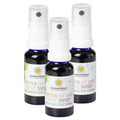 Bitterstoffe Spray Vorratspack 3x 20ml