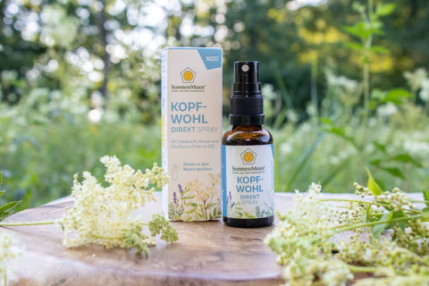 Kopfwohl_Produkt_und_Maedesuess