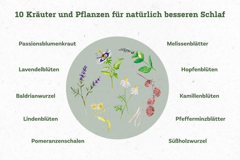 Kraeuter_Gute_Nacht