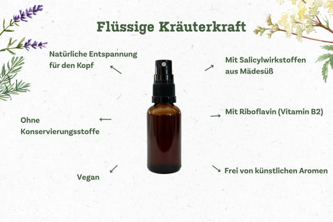 Kraeuter_Kopfwohl