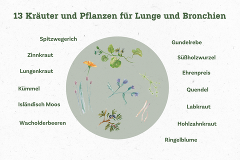 Kraeuter_Lumison_Aufzaehlung