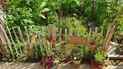 Kraeutergarten_Award_2024_Garten_5