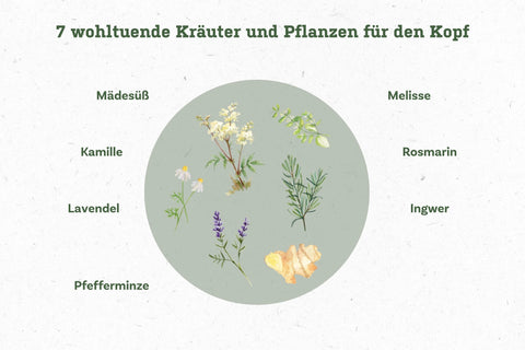 Kraueter_Kopfwohl