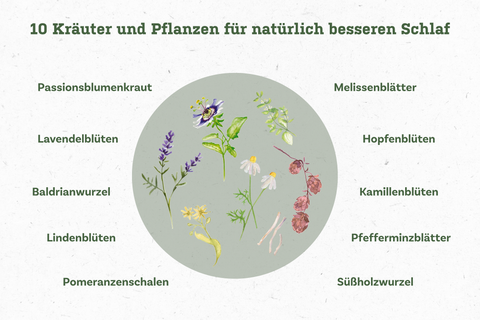 Kraeuter Gute nacht